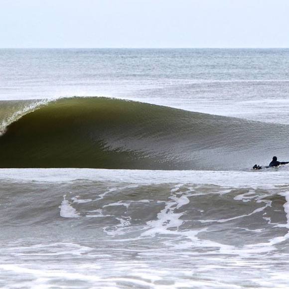 Meet your Posher, Jamie - Picture 1 of 1